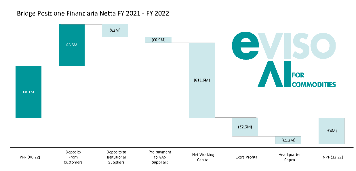 Bridge NFP FY 2021-2022 eVISO